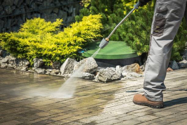 Best House Exterior Washing  in Bellview, FL