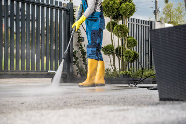 Best Animal Enclosure Cleaning  in Bellview, FL