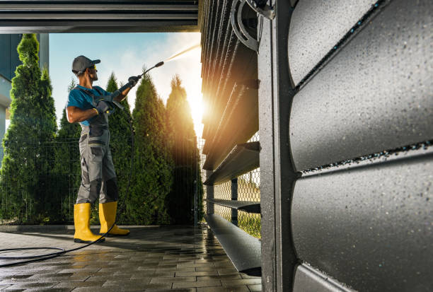 Best Sidewalk and Walkway Cleaning  in Bellview, FL