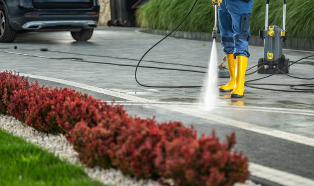 Best Warehouse Cleaning  in Bellview, FL